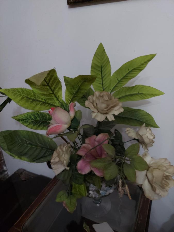 Al Moayad Apartment Near To Genina Mall, Abbas Al Akkad 카이로 외부 사진